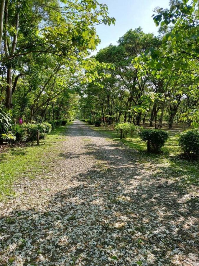 花蓮金澤居民宿樹窩民宿御安居民宿寵物友善 Цзянь Экстерьер фото