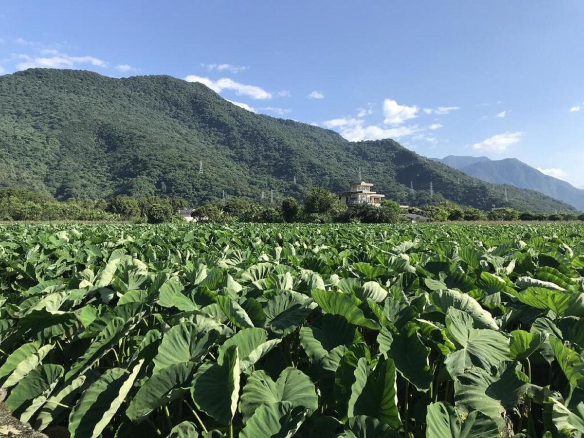 花蓮金澤居民宿樹窩民宿御安居民宿寵物友善 Цзянь Экстерьер фото